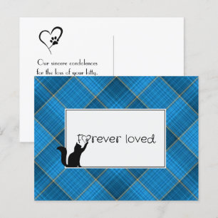 Carte Postale Kitty Pet Perdre la Sympathie de Vet