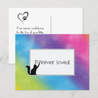 Kitty Pet Perdre la Sympathie de Vet