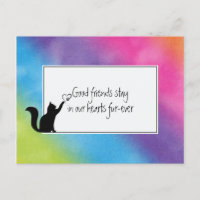 Kitty Pet Perdre la Sympathie de Vet