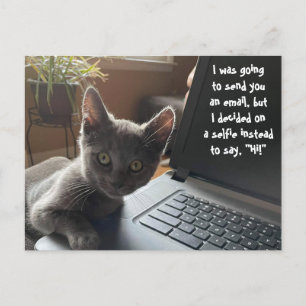 CARTE POSTALE KITTY SELFIE HELLO
