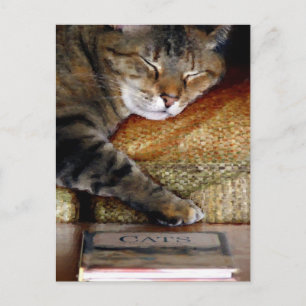 Carte postale Kitty Sleep Book