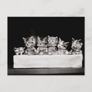 Carte Postale Kitty Tea Party