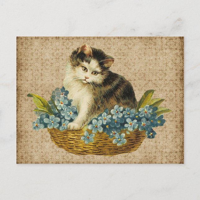 Carte Postale Kitty vintage dans le panier (Devant)