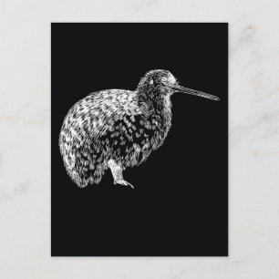 Carte Postale Kiwi Bird Portrait Nouvelle-Zélande Animal