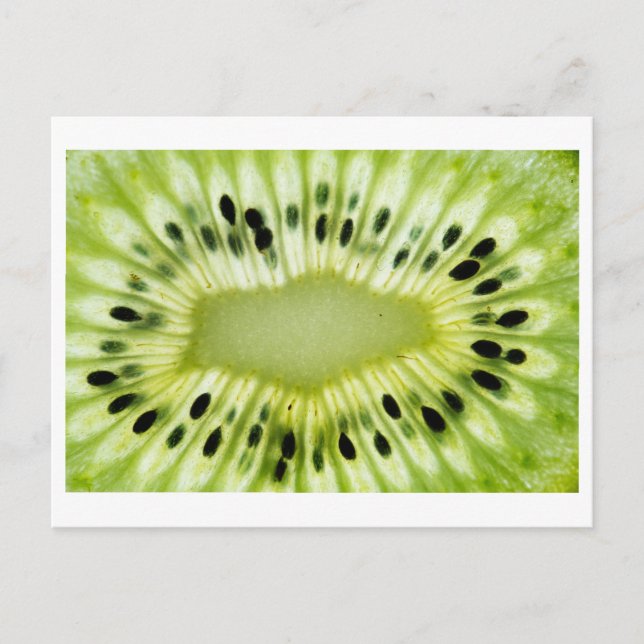 Carte postale Kiwi Close-up Photo (Devant)