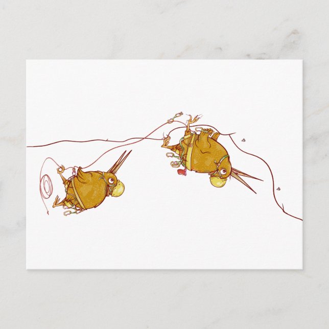 Carte Postale Kiwi NZ BIRDS ROCK ESCALADE (Devant)