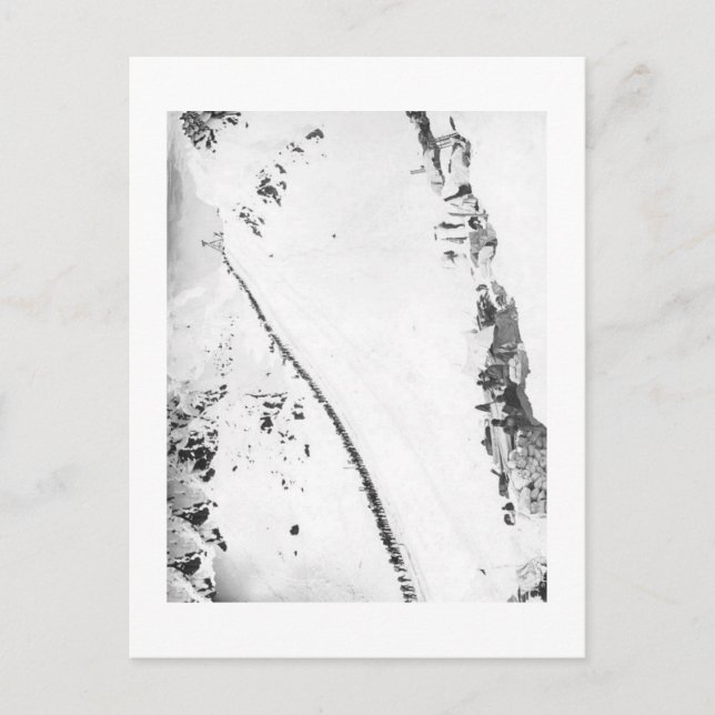 Carte Postale Klondikers d'Alaska (Devant)