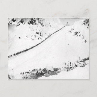 Carte Postale Klondikers d'Alaska