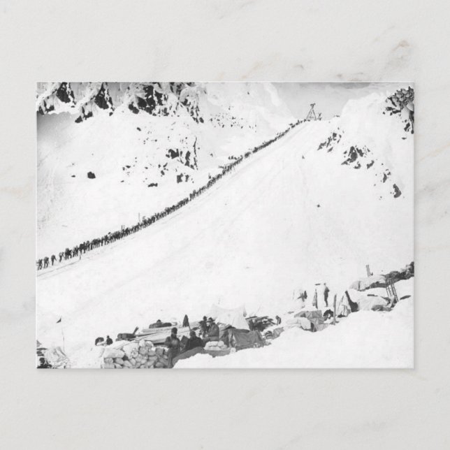 Carte Postale Klondikers d'Alaska (Devant)