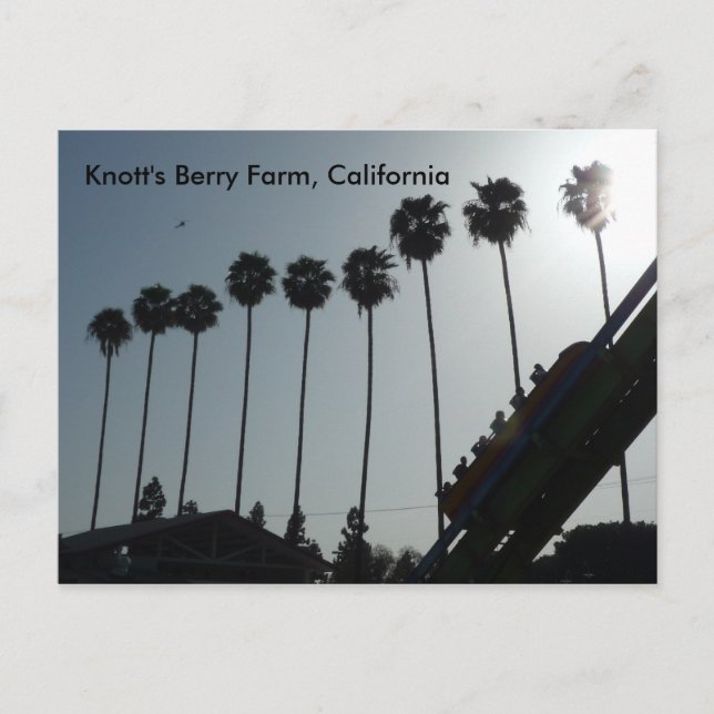 Carte Postale Knott's Berry Farm, Californie (Devant)