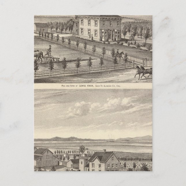 Carte Postale Knox, Stone résidences (Devant)