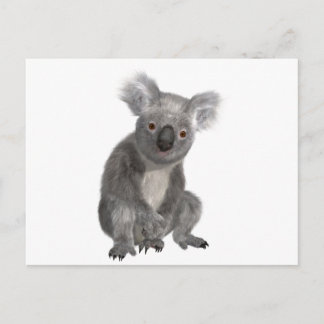 Carte Postale Koala
