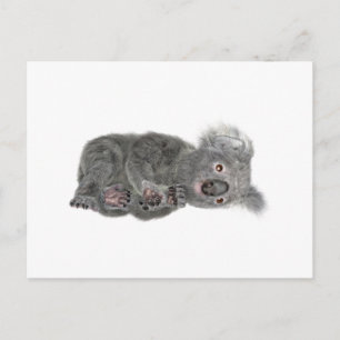 Carte Postale Koala allongé