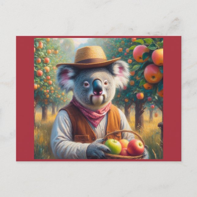Carte Postale Koala Apple Orchard (Devant)