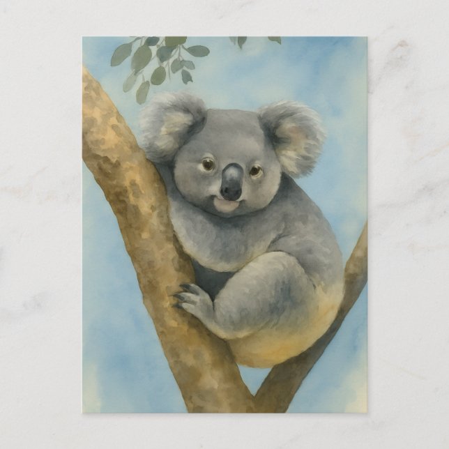 Carte Postale Koala Calm - Aquarelle Faune (Devant)