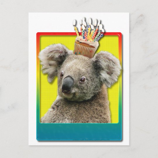 Carte Postale Koala De Petit Gateau D Anniversaire Zazzle Fr