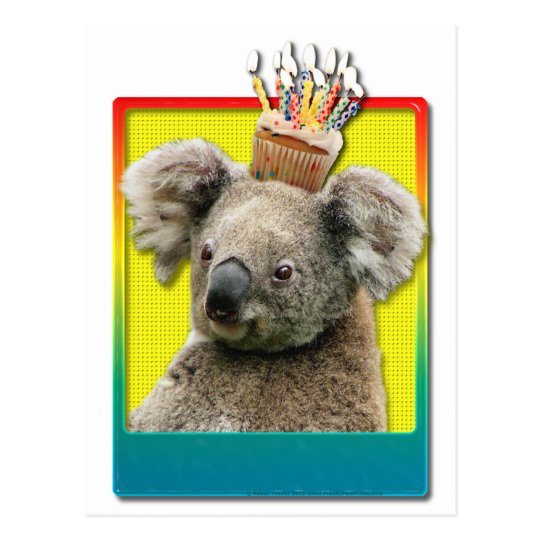 Carte Postale Koala De Petit Gateau D Anniversaire Zazzle Fr