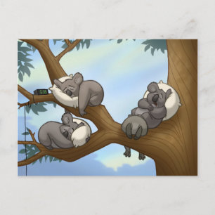 Carte postale Koala dormant