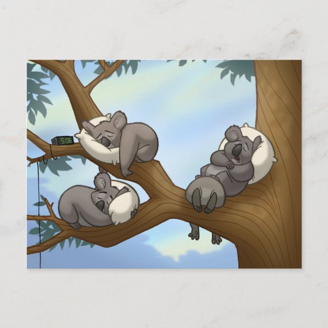 Carte postale Koala dormant (Devant)