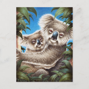 Carte postale Koala et Baby