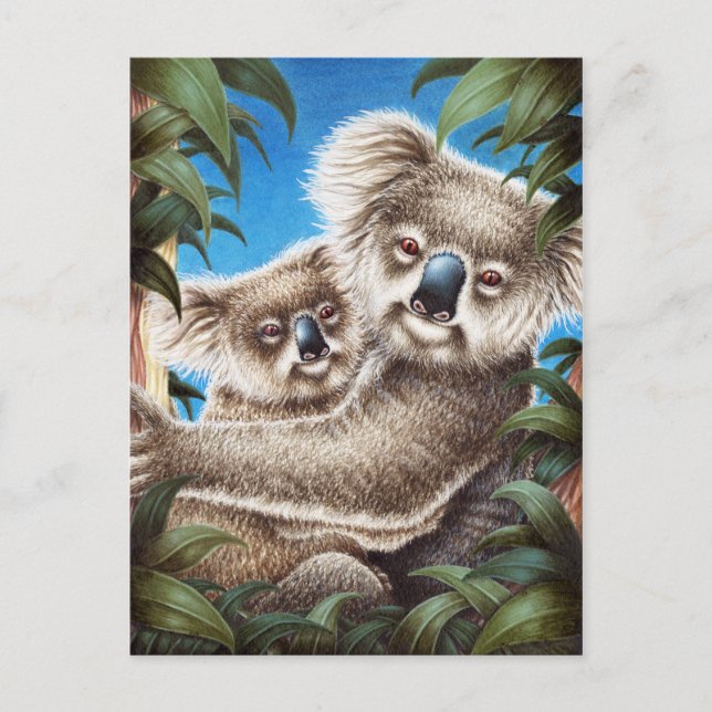 Carte postale Koala et Baby (Devant)