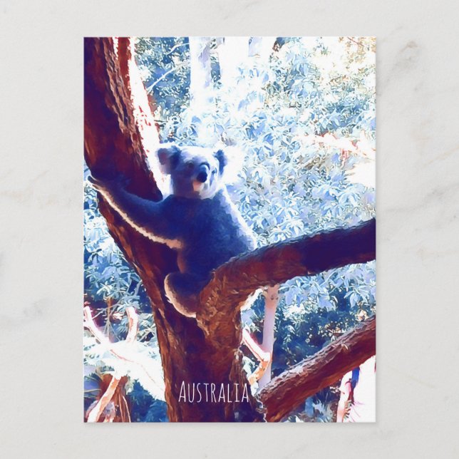 Carte Postale Koala in tree animal Australie (Devant)