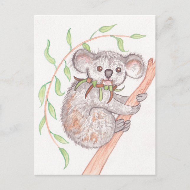 Carte Postale Koala sur la branche des arbres (Devant)
