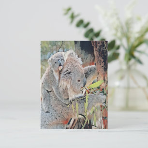 Carte Postale Koalas gris