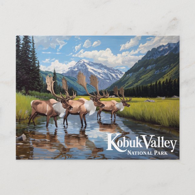 Carte Postale Kobuk Valley Caribou Herd Alaska Art (Devant)