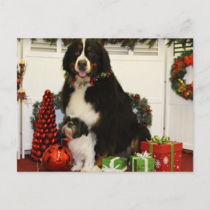 Carte Postale Kobus et Grover - Eiting - Photo 4