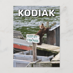 Carte Postale Kodiak Bear Rompt Les Règles