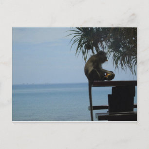 Carte Postale Koh Lanta