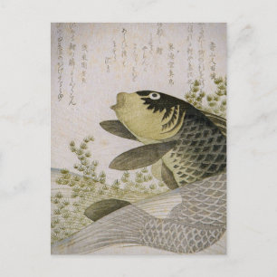 Carte Postale Koi Carp parmi les Plantes d'étang Ryuryukyo Shins