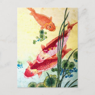 Carte Postale Koi Fish