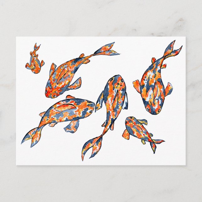 Carte postale Koi Fish Pond (Devant)