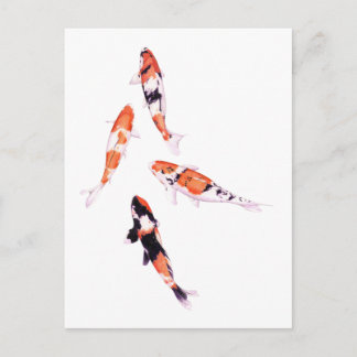 Carte postale Koi flottante