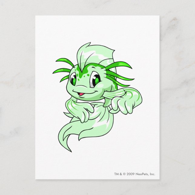 Carte Postale Koi Green (Devant)