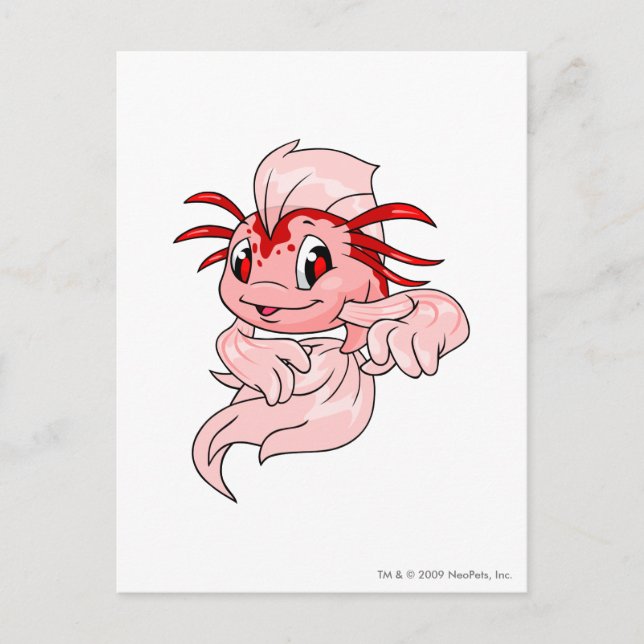 Carte Postale Koi Red (Devant)