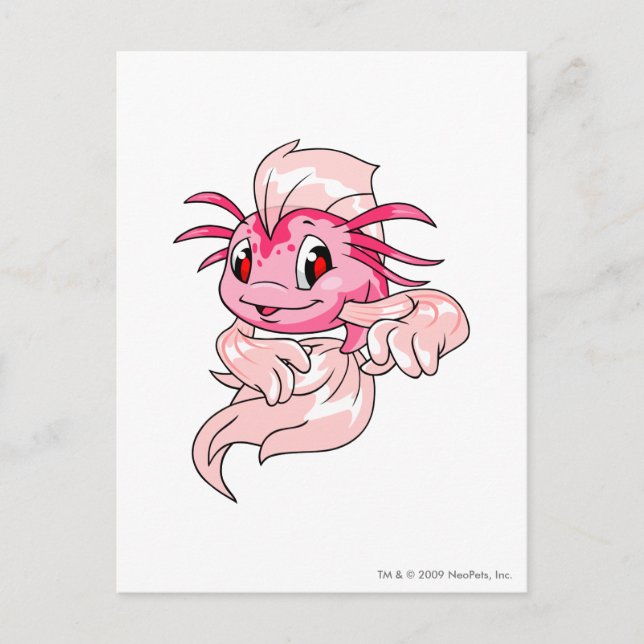 Carte Postale Koi Rose (Devant)