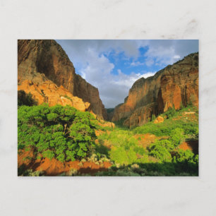 Carte Postale Kolob Canyon à Zion Canyon dans le parc national d