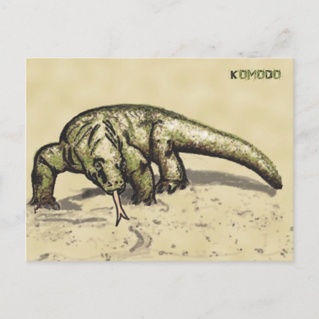 Carte Postale Komodo (Devant)