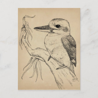 Carte Postale Kookaburra