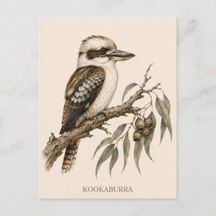 Carte postale Kookaburra Édition Bush