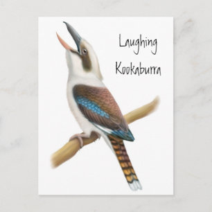 Carte postale Kookaburra qui rit