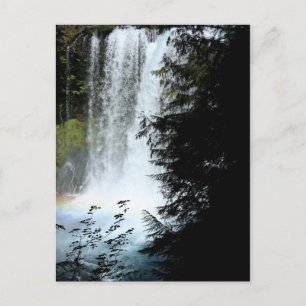 Carte postale Koosah Falls Oregon Waterfall