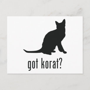 Carte Postale Korat Cat