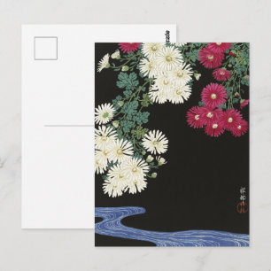 Carte Postale Koson Chrysanthemum Garden Art japonais Fleur