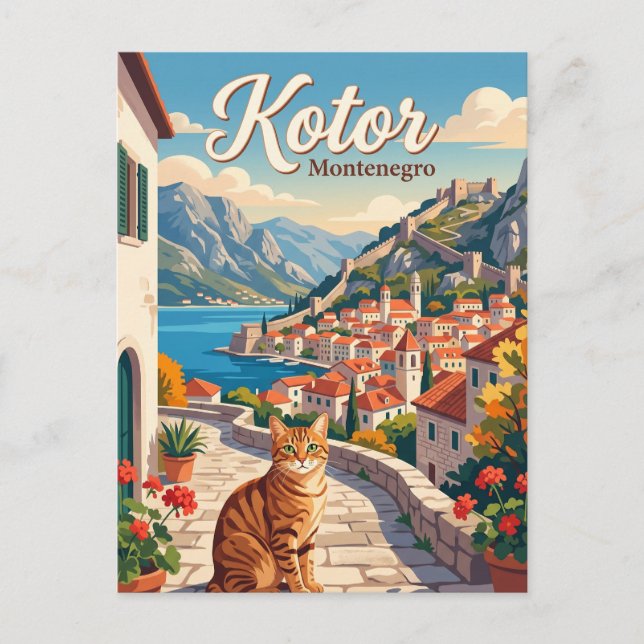 Carte Postale Kotor, Monténégro Monténégro (Devant)