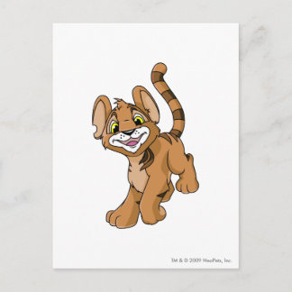 Carte Postale Kougra Brown