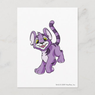 Carte Postale Kougra pourpre